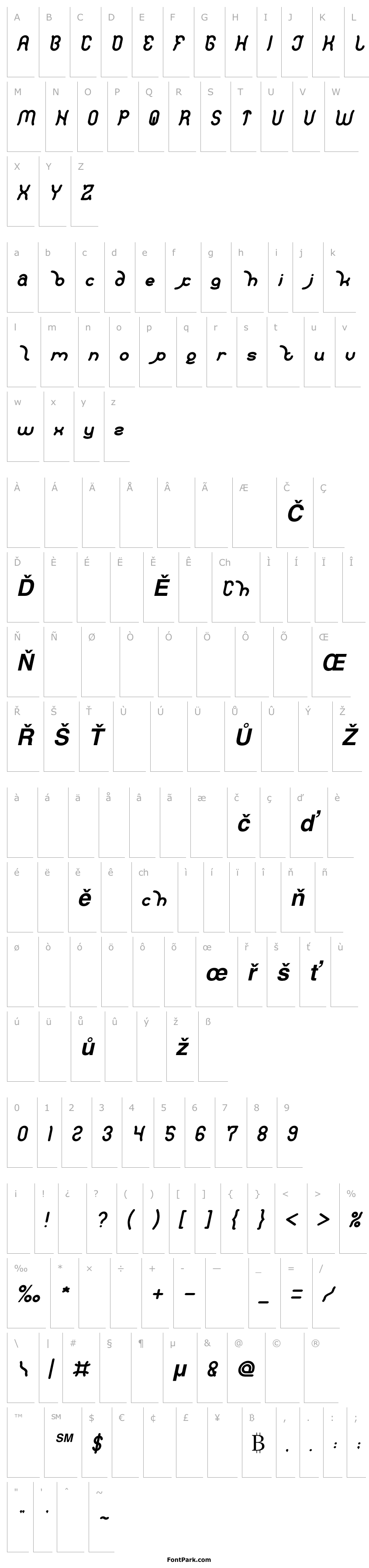 Overview Polysoup Bold Italic