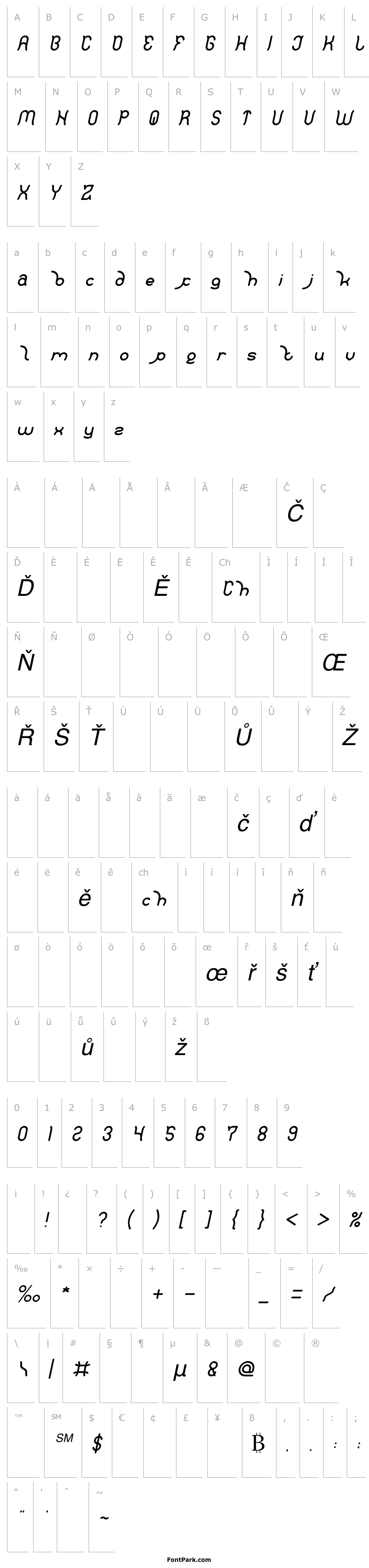 Overview Polysoup Italic