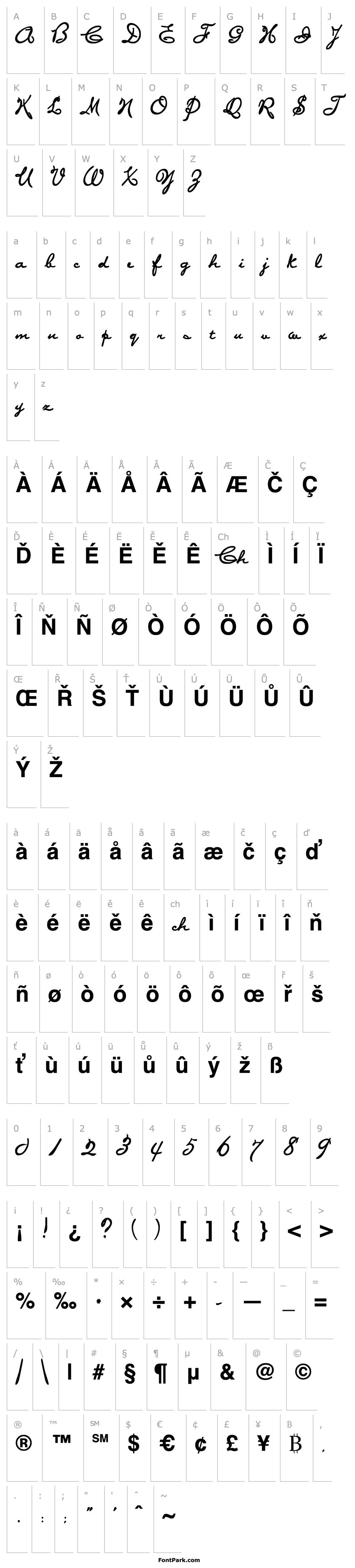 Overview PonytailScriptSSK Bold