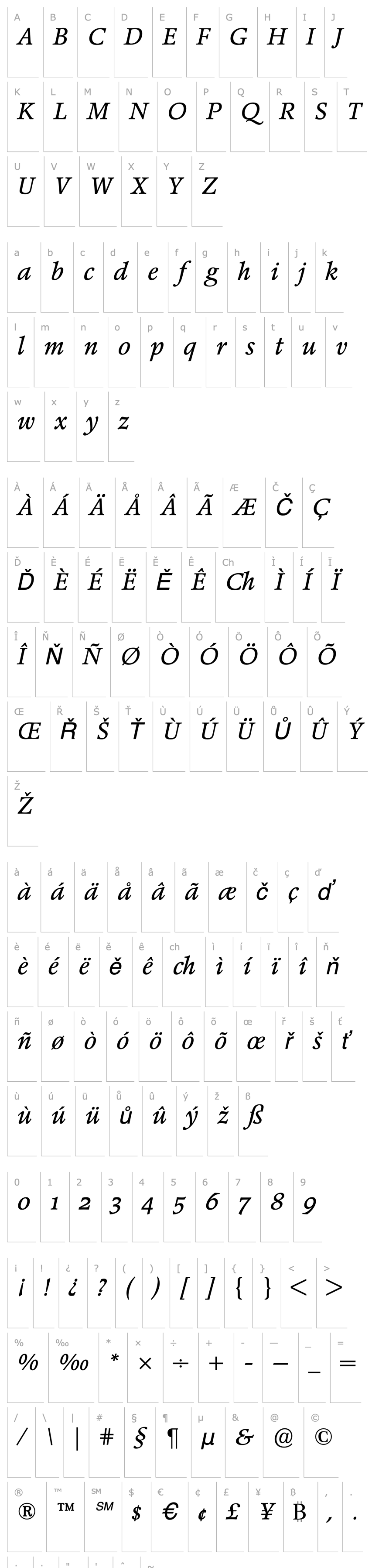 Overview Poppl-Pontifex BE Italic with Oldstyle Figures