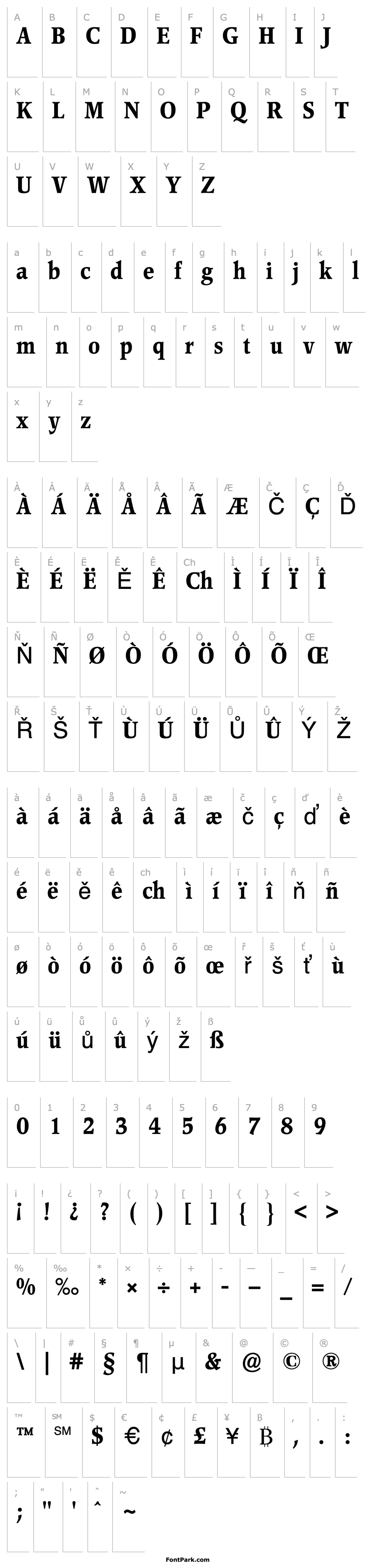 Přehled PopplPontiBQ-MediumCondensed