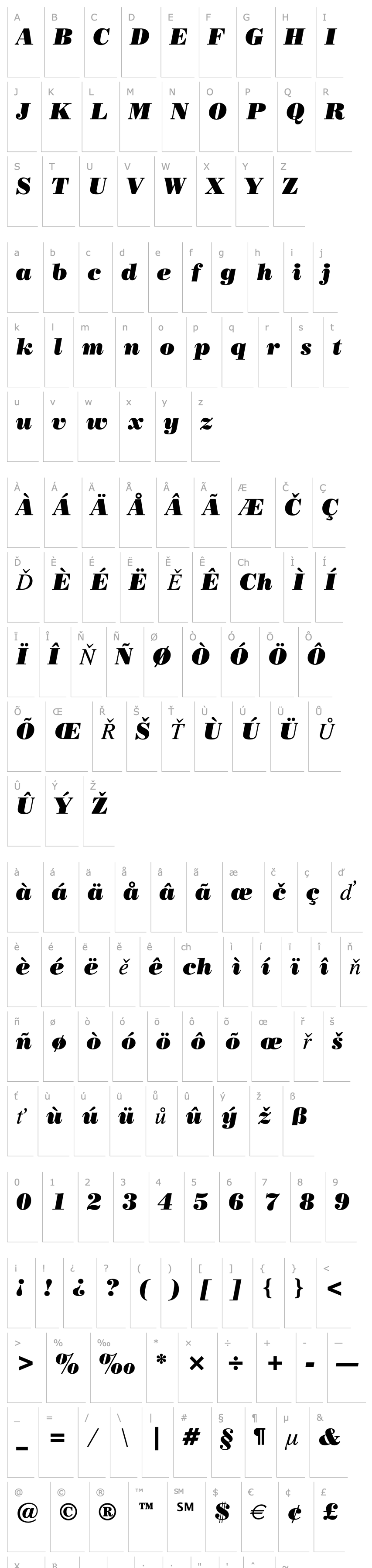 Overview Poster Bodoni Italic BT