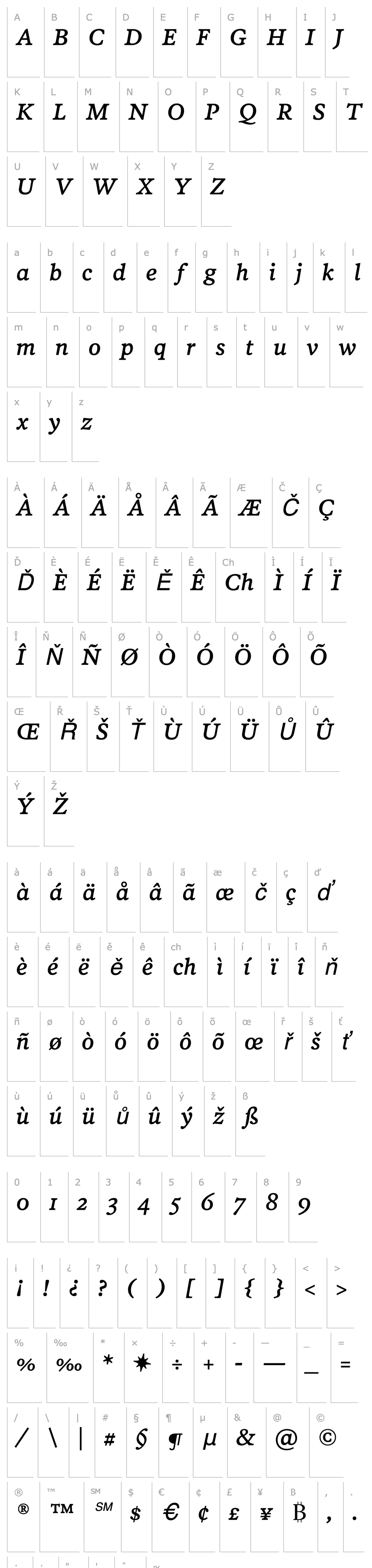 Overview PoynterOSTextFour-Italic