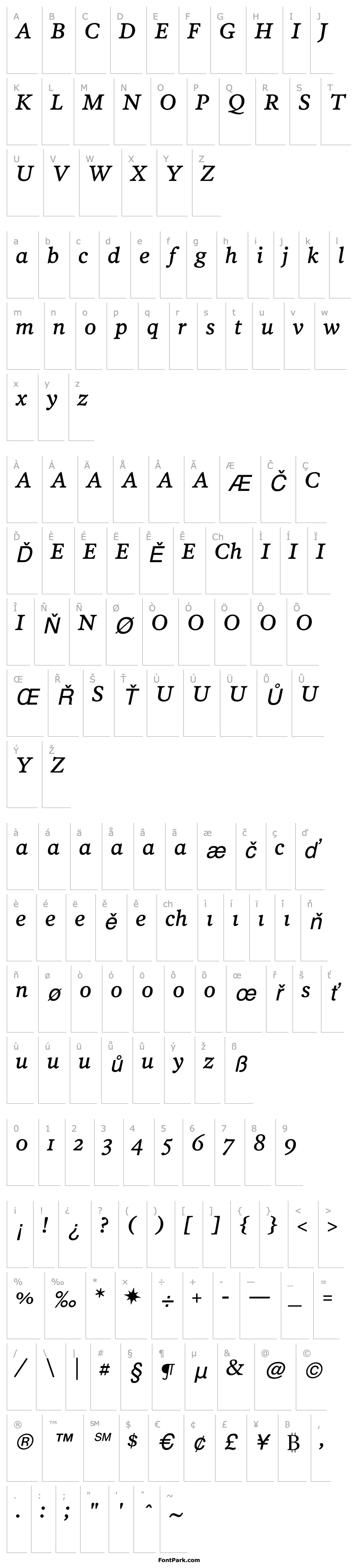 Overview PoynterText-ItalicThree