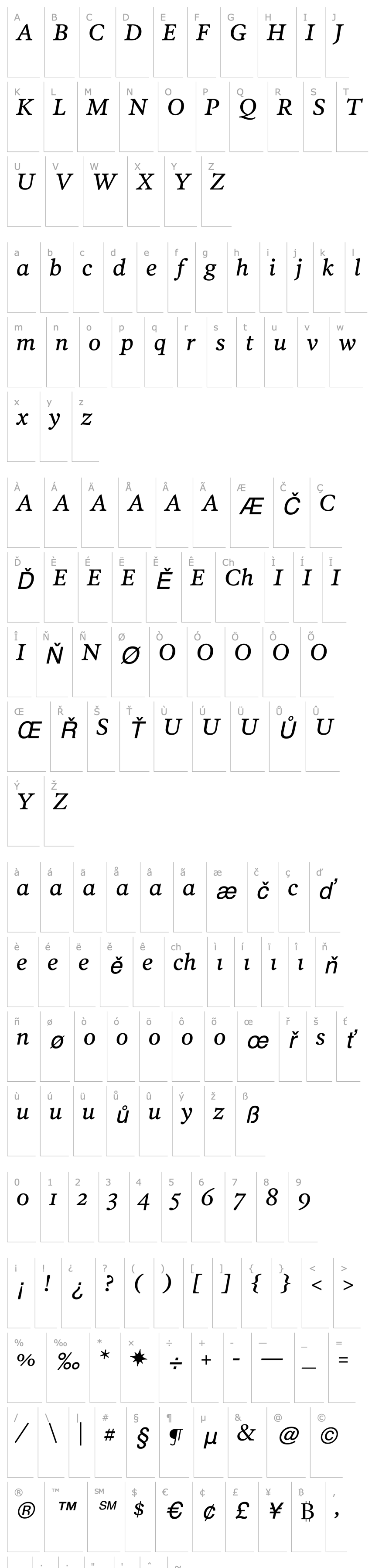 Přehled PoynterText-ItalicTwo