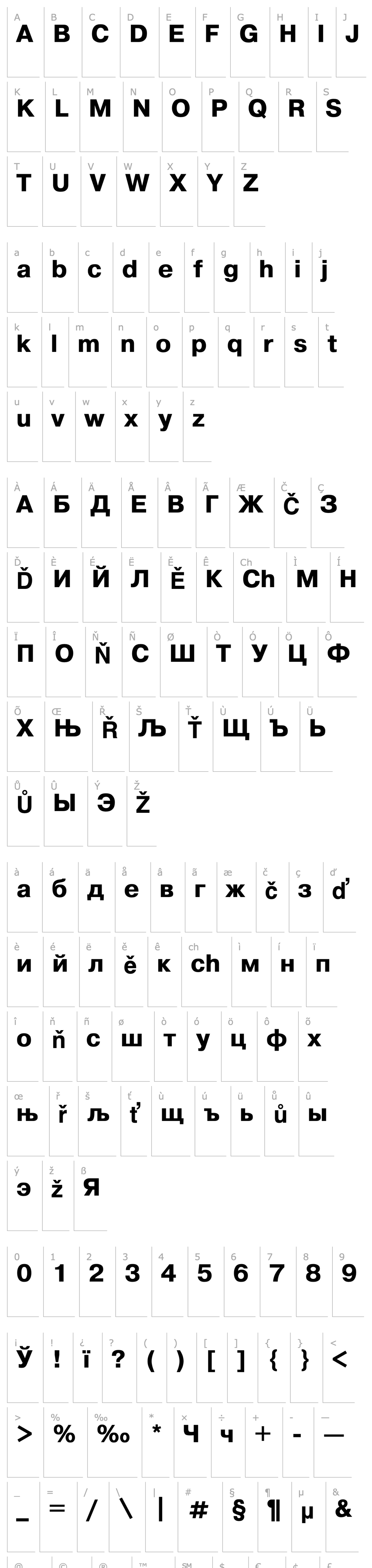 Overview Pragmatica Bold