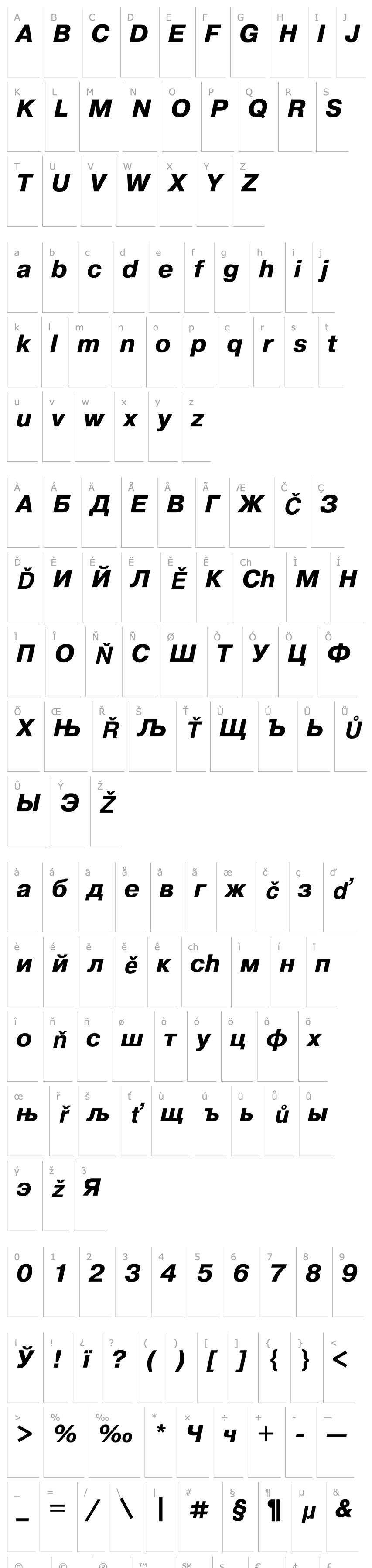 Overview Pragmatica Bold Italic