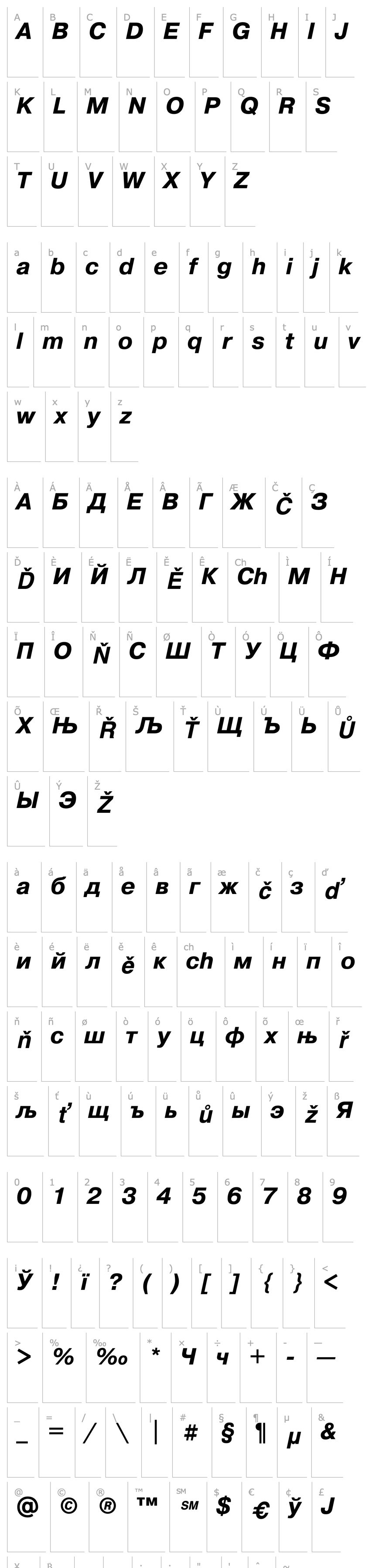 Overview Pragmatica BoldItalic Cyrillic