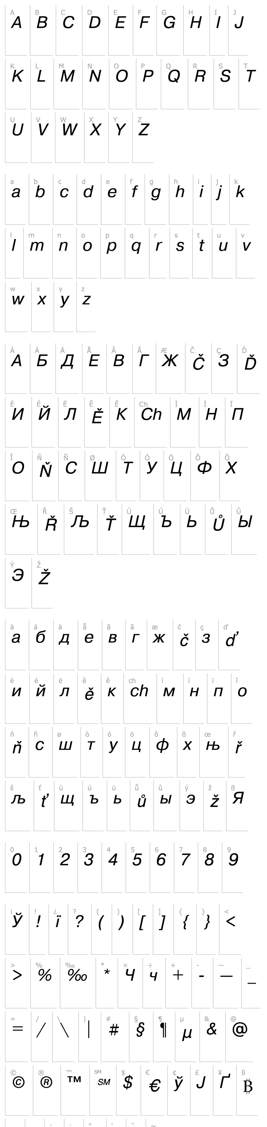 Overview Pragmatica Italic Cyrillic