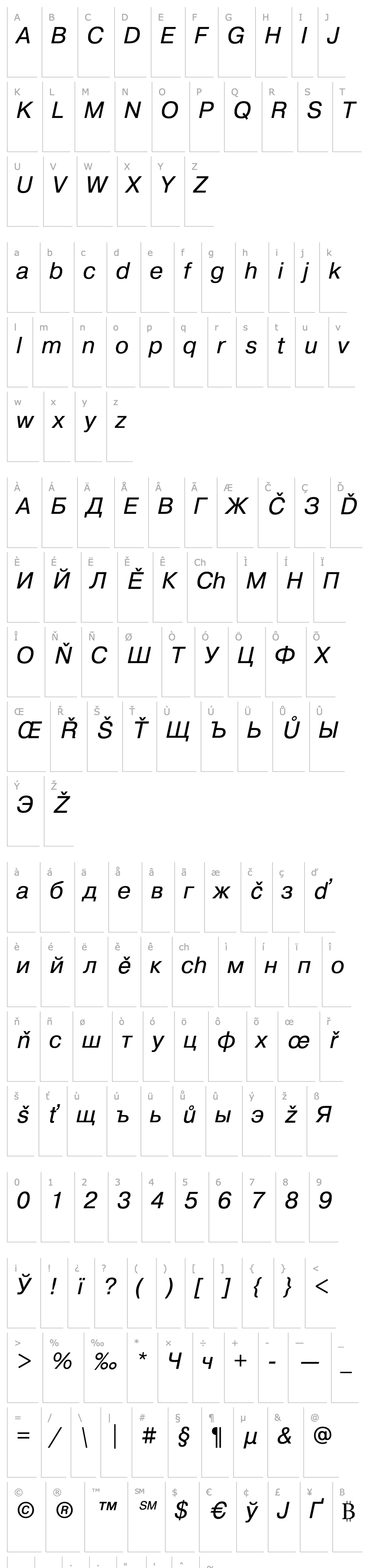 Overview PragmaticaCTT Italic