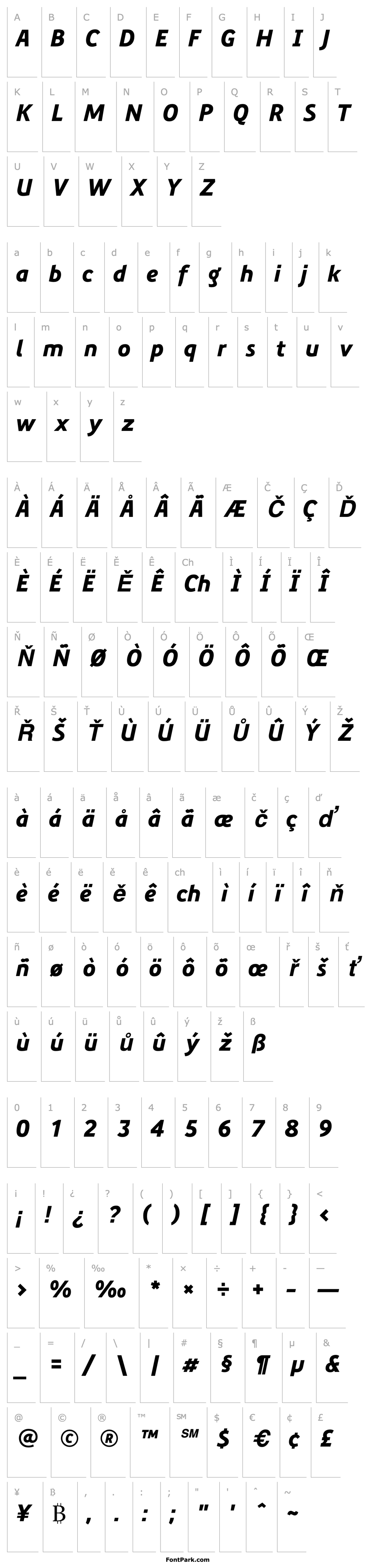 Přehled PreciousSans-BlackItalic