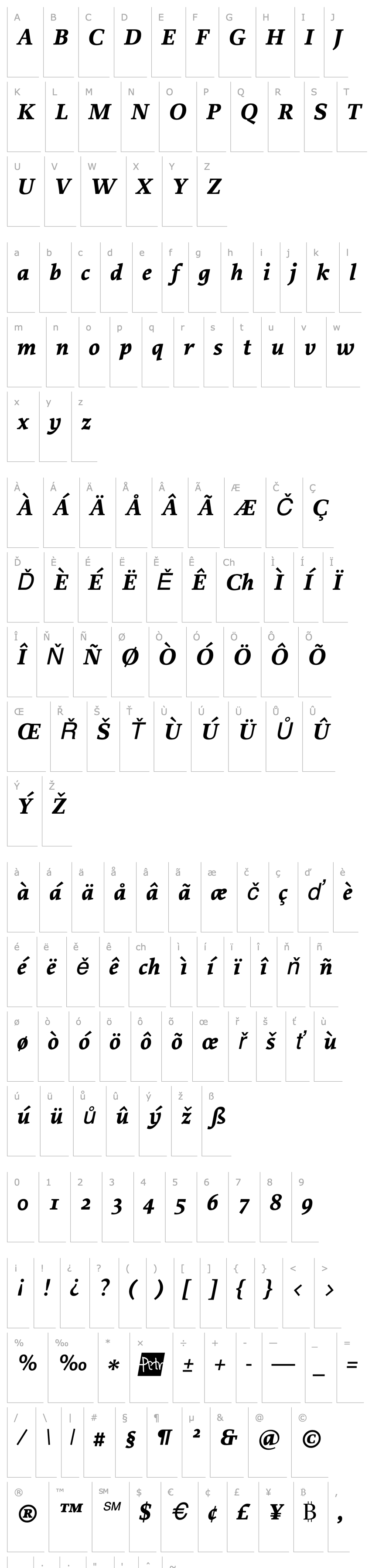 Přehled Proforma BoldItalic