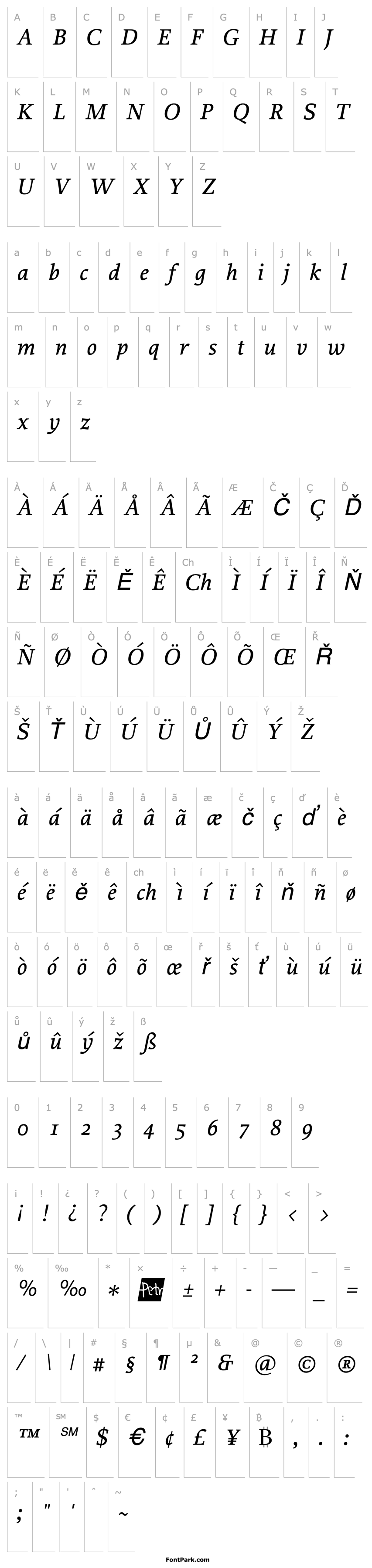 Overview Proforma MediumItalic