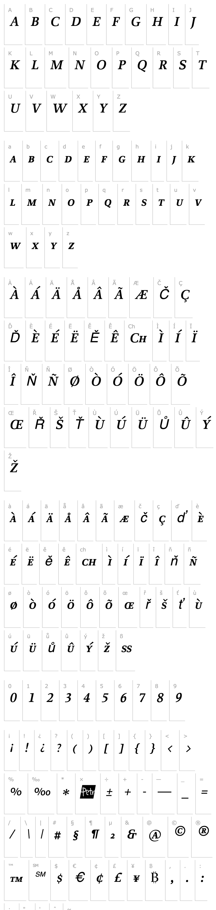 Přehled Proforma SemiBoldItalicSC