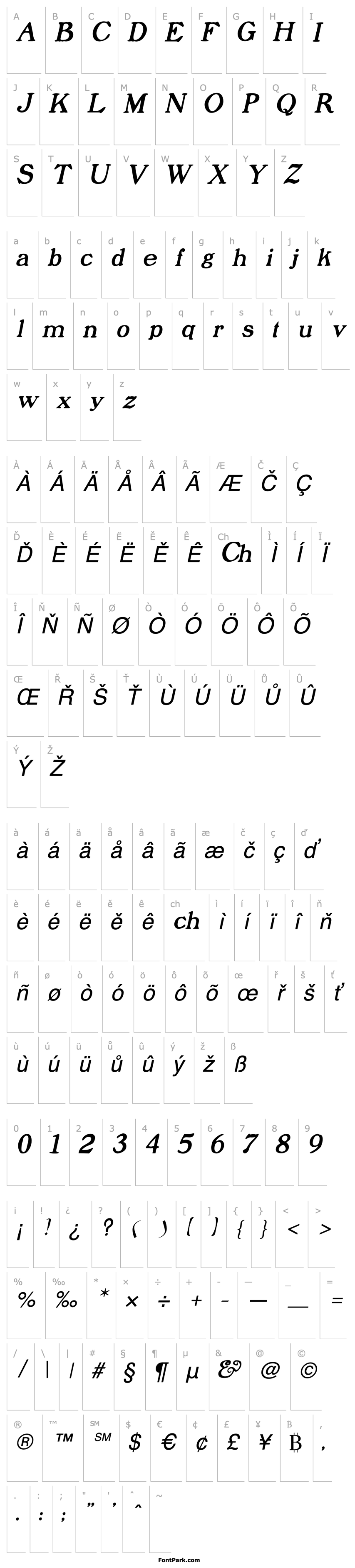 Overview Prophet Italic