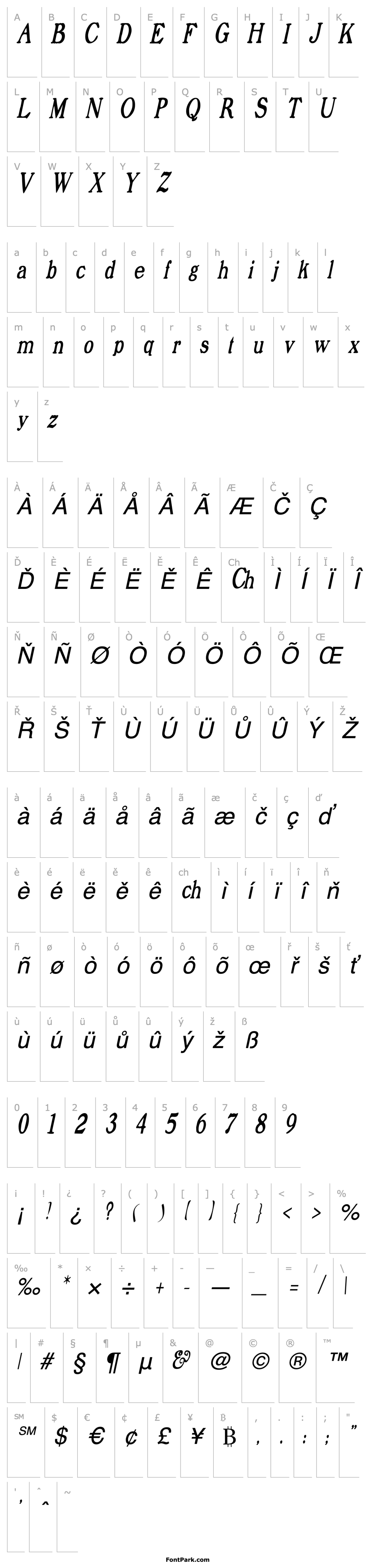 Overview ProphetCondensed Italic