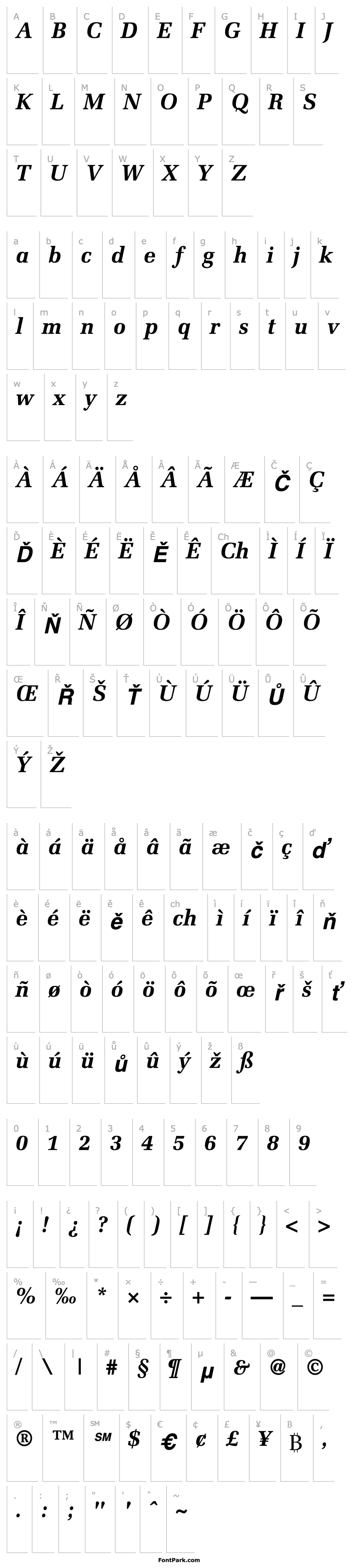 Přehled Protocol SSi Bold Italic