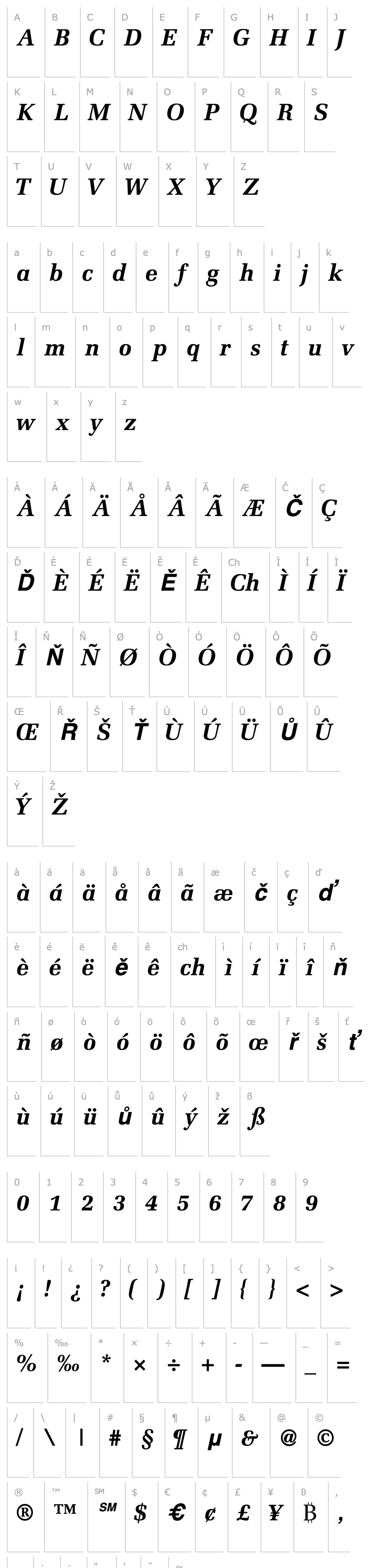 Overview ProtocolSSK Bold Italic