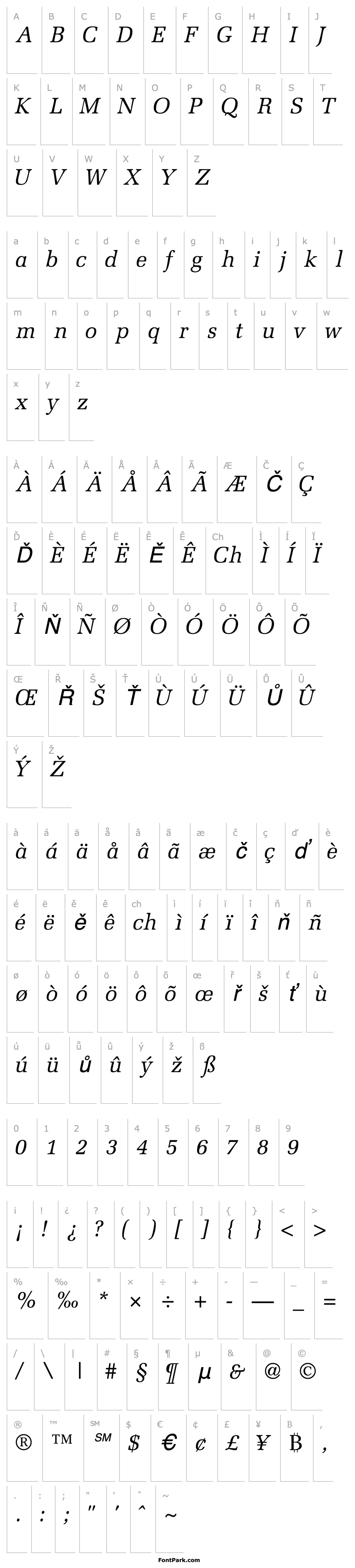 Přehled ProtocolSSK Italic