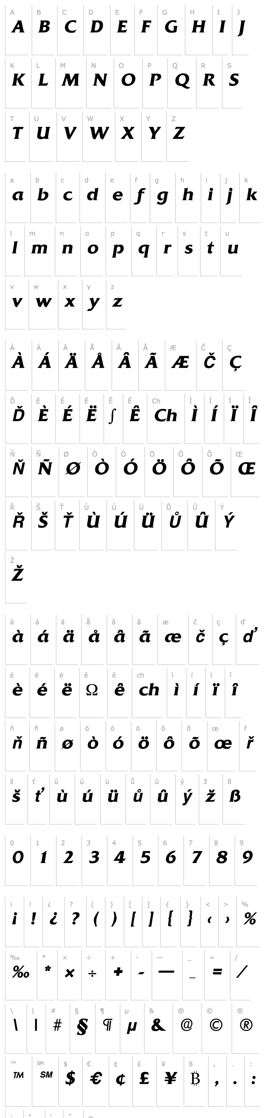 Přehled Quadrat-Serial-BoldItalic