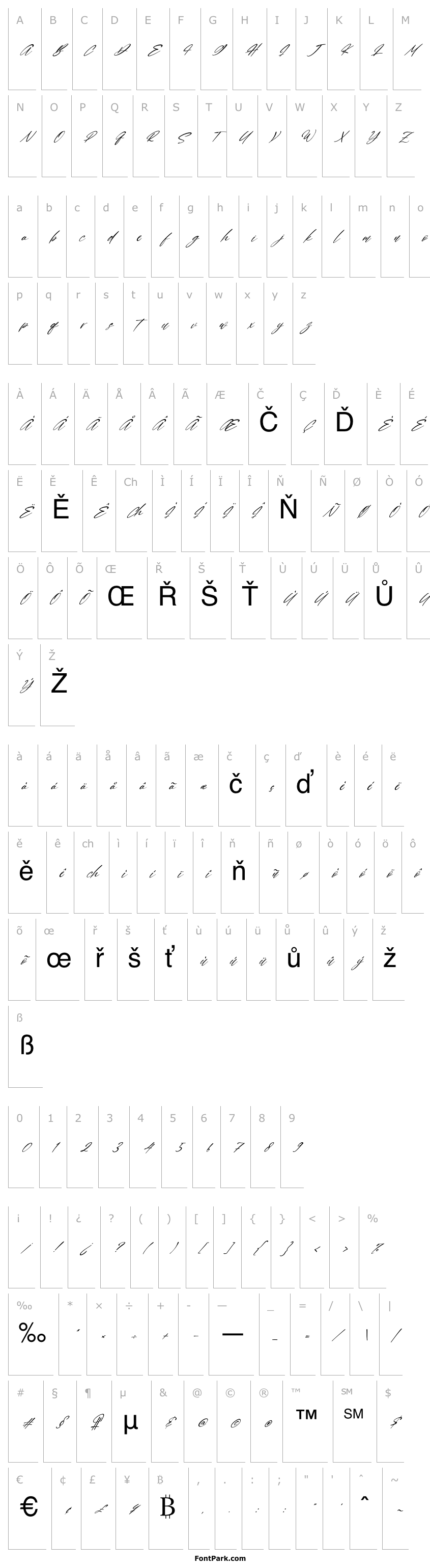 Přehled Quenisha Italic