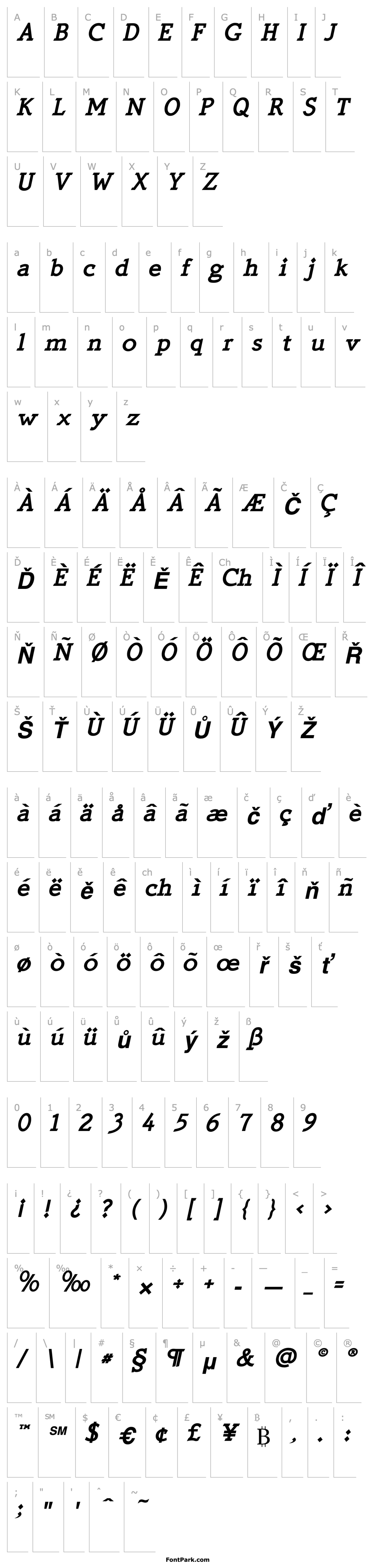 Přehled QuickType Bold Italic PDF