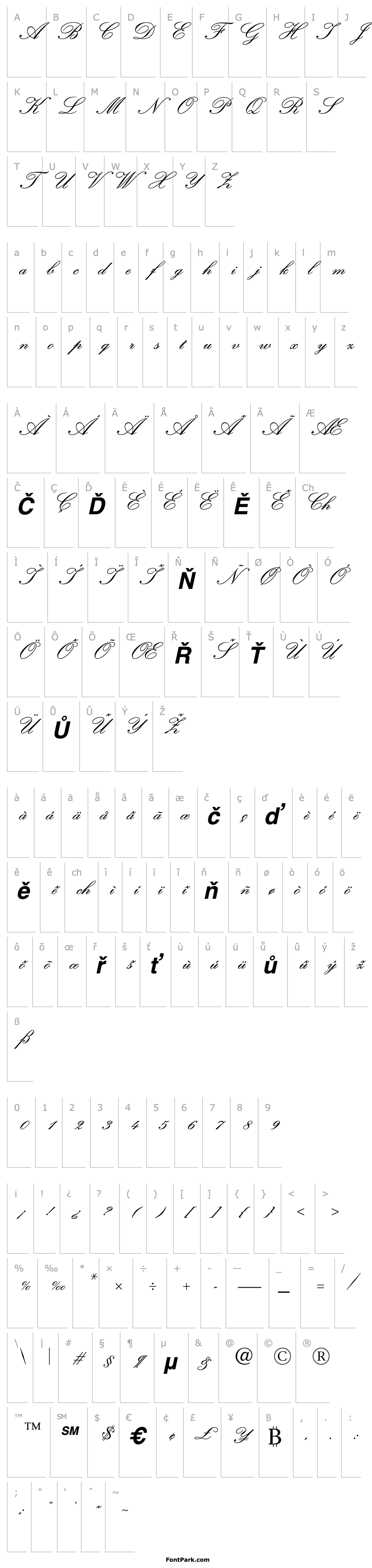 Overview Quill Script SSi Bold