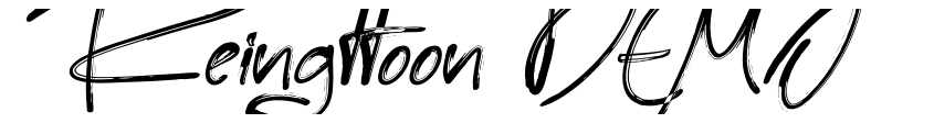 Preview Reingttoon DEMO