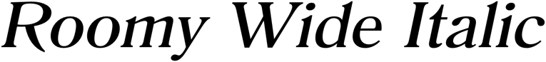 Preview Roomy Wide Italic