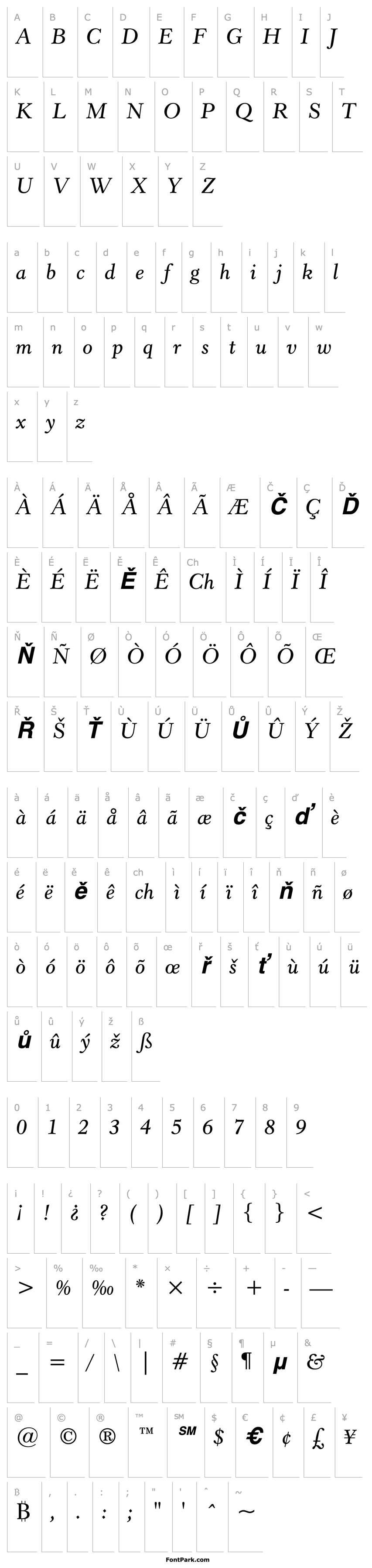 Overview Revival555BT-SemiBoldItalicA