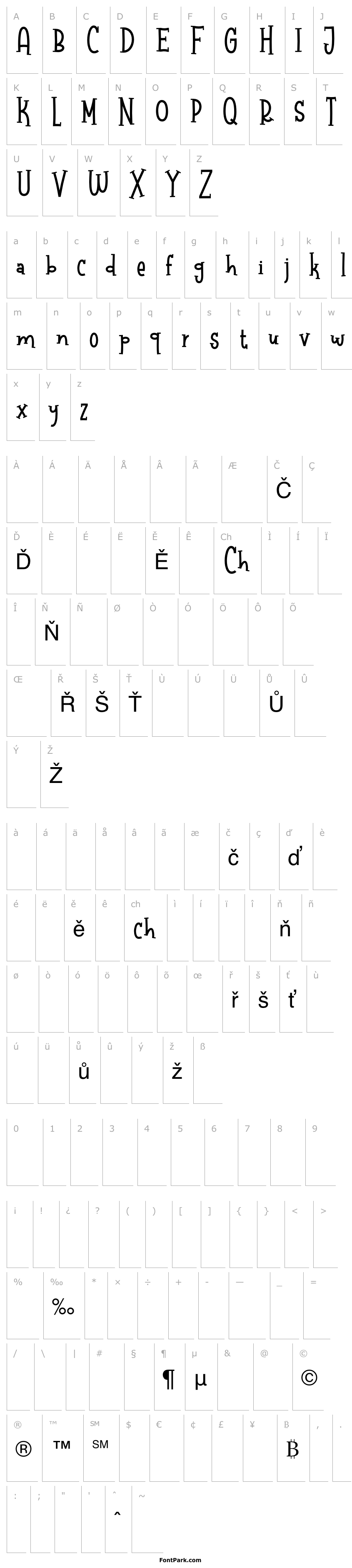 Overview Raccoon Serif Demo