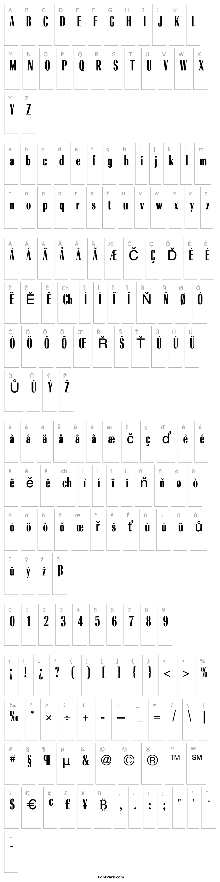 Overview RadiantCondICG