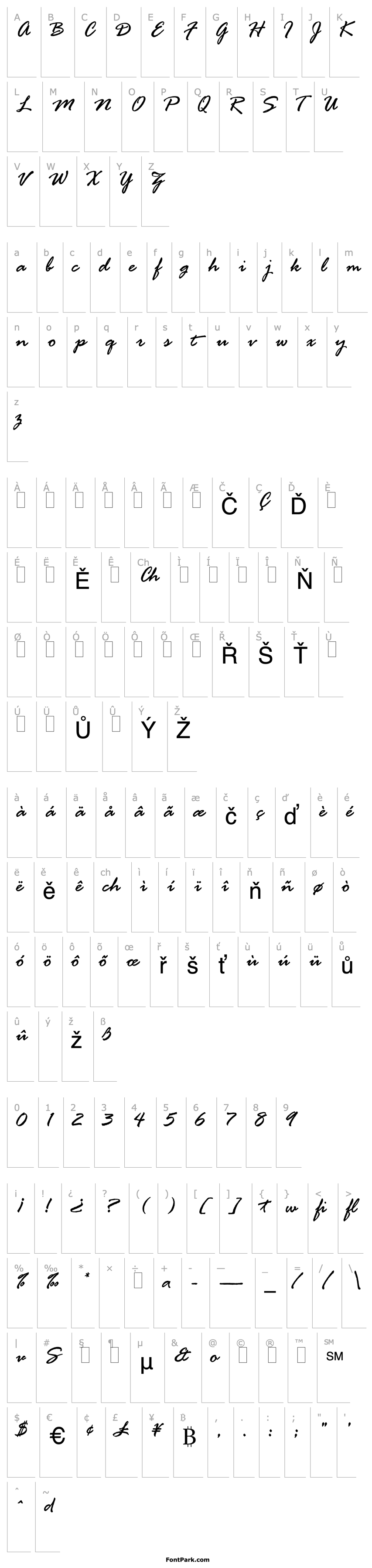 Overview Rage Italic LET Plain:1.0