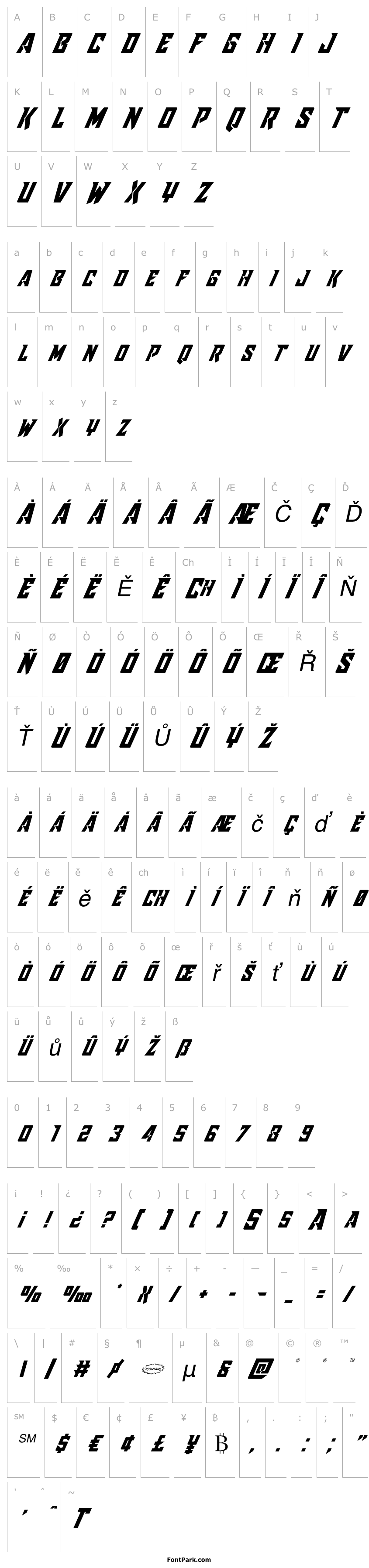 Overview Raider Crusader Italic