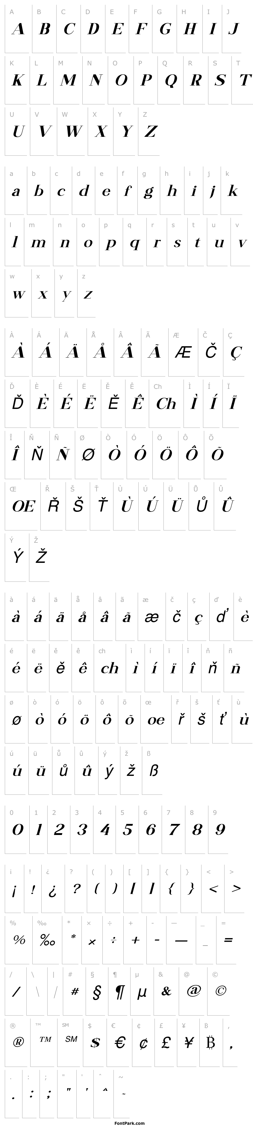 Overview RAINYDAY-Italic
