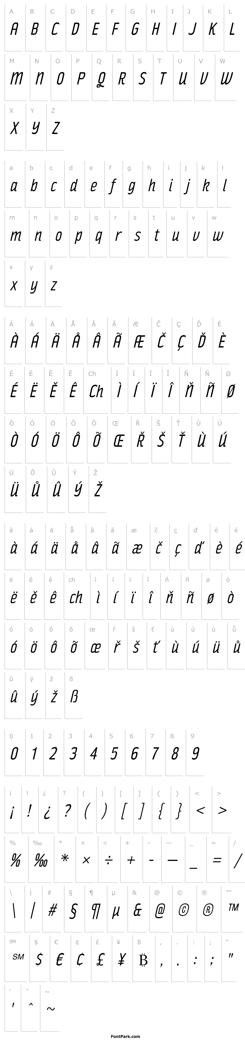 Overview RakeslyBk-Italic