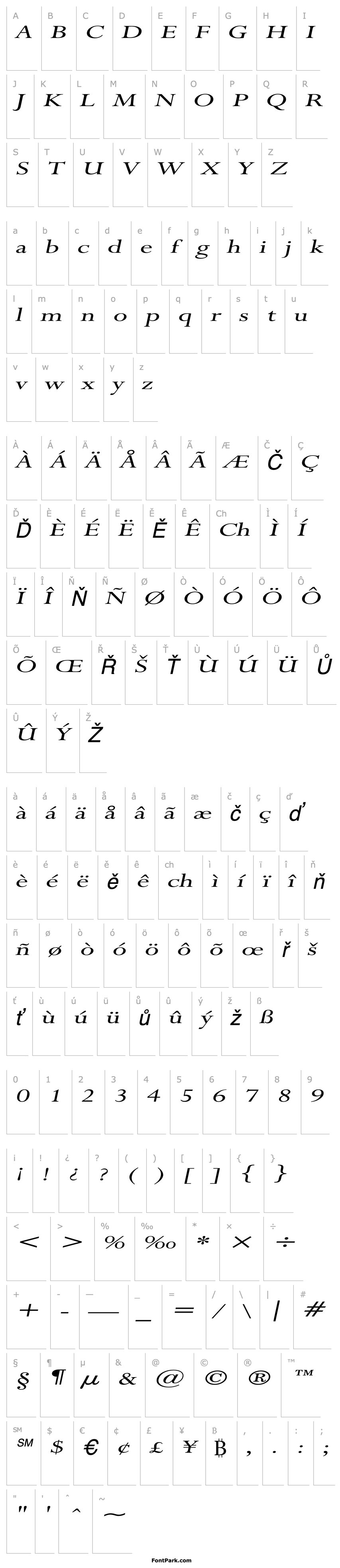 Overview Rapid Extended Italic