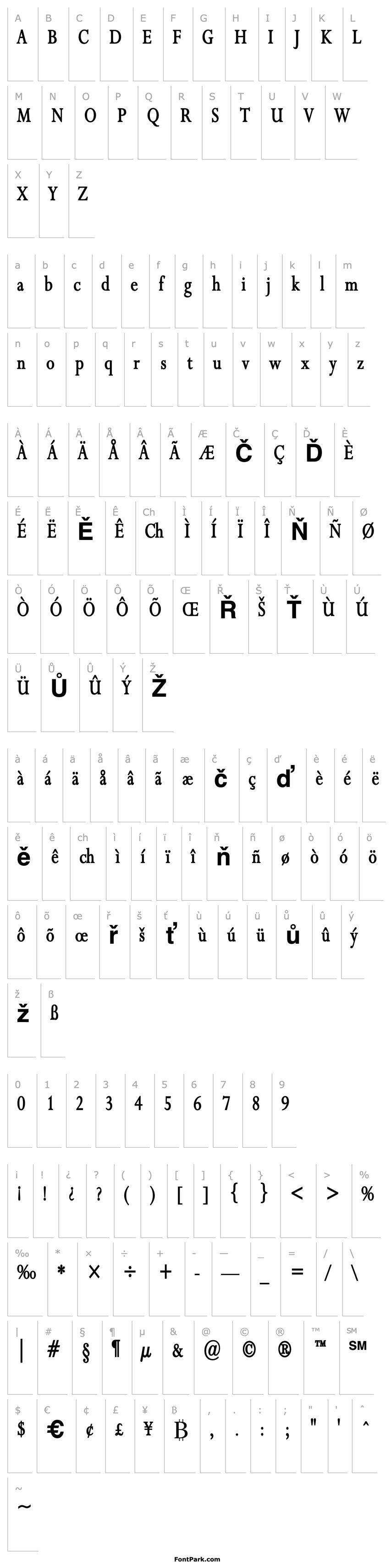 Overview Rapid Thin Bold