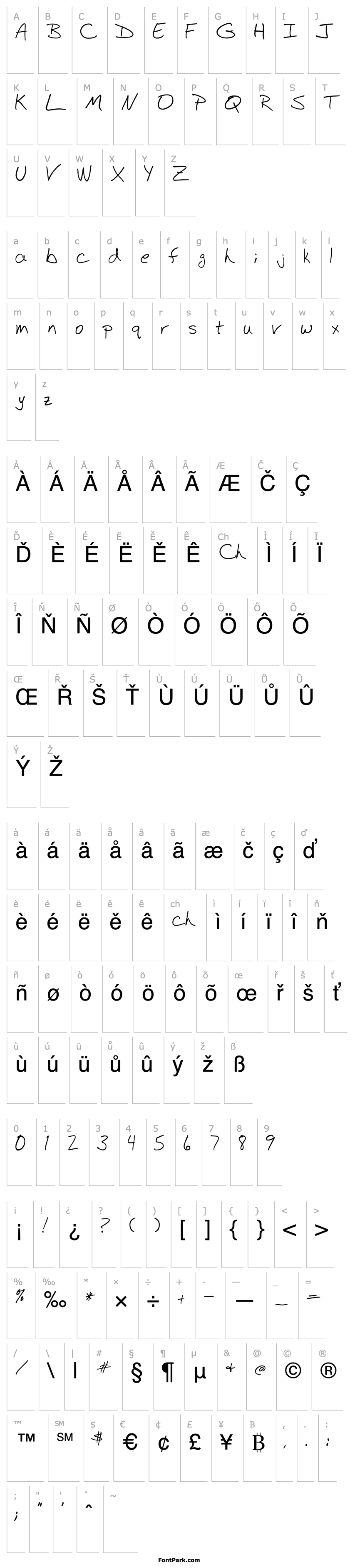 Overview RapidWrite Regular