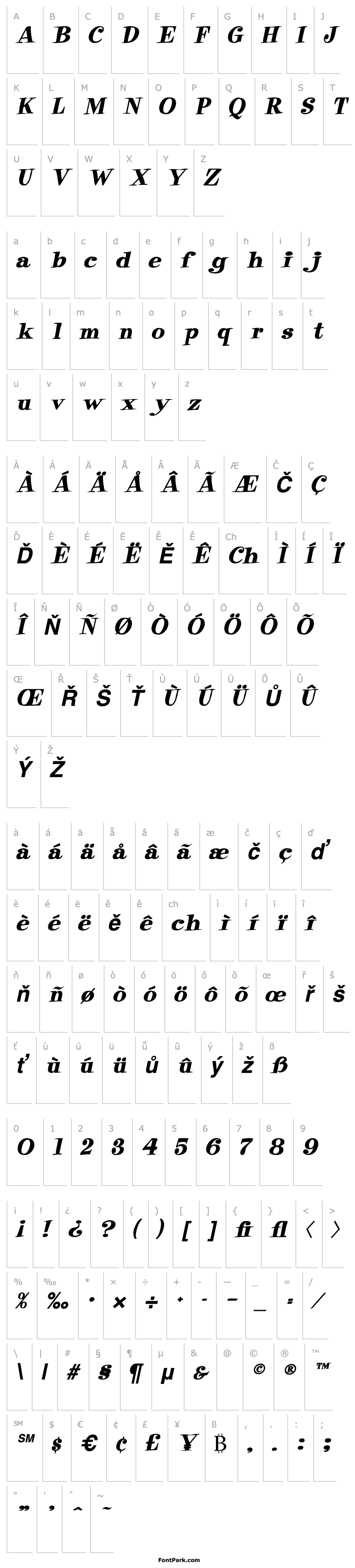 Overview Raskin HeavyItalic