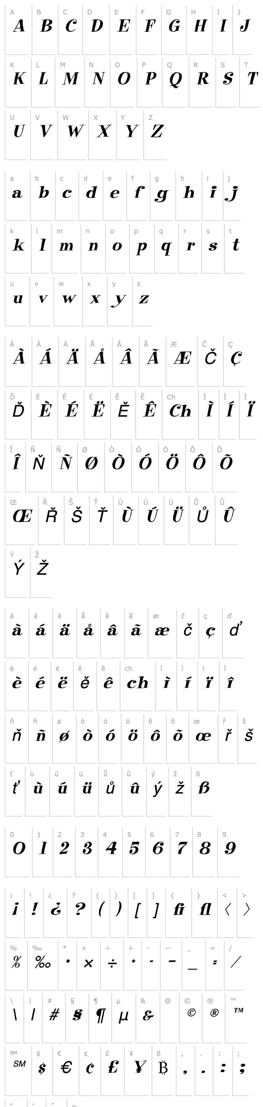 Overview Raskin Italic