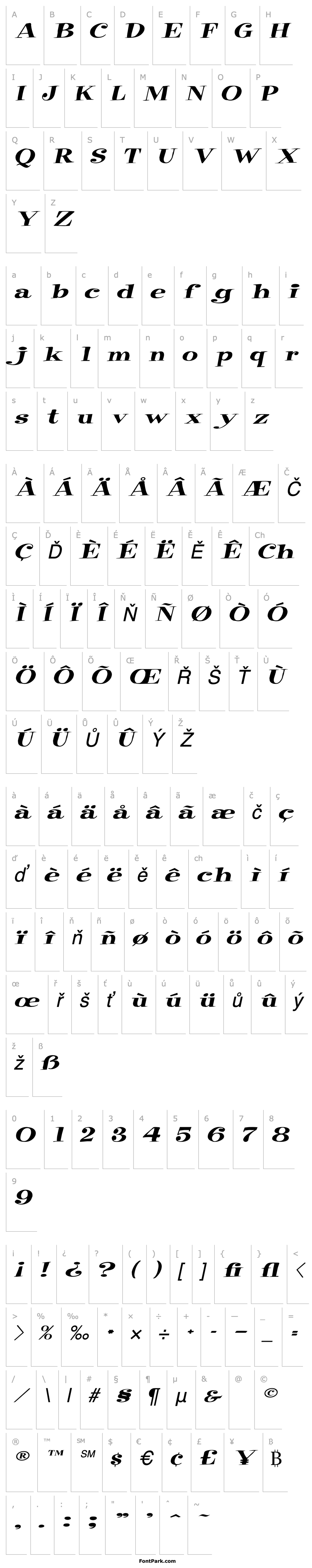 Overview RaskinExtended Italic