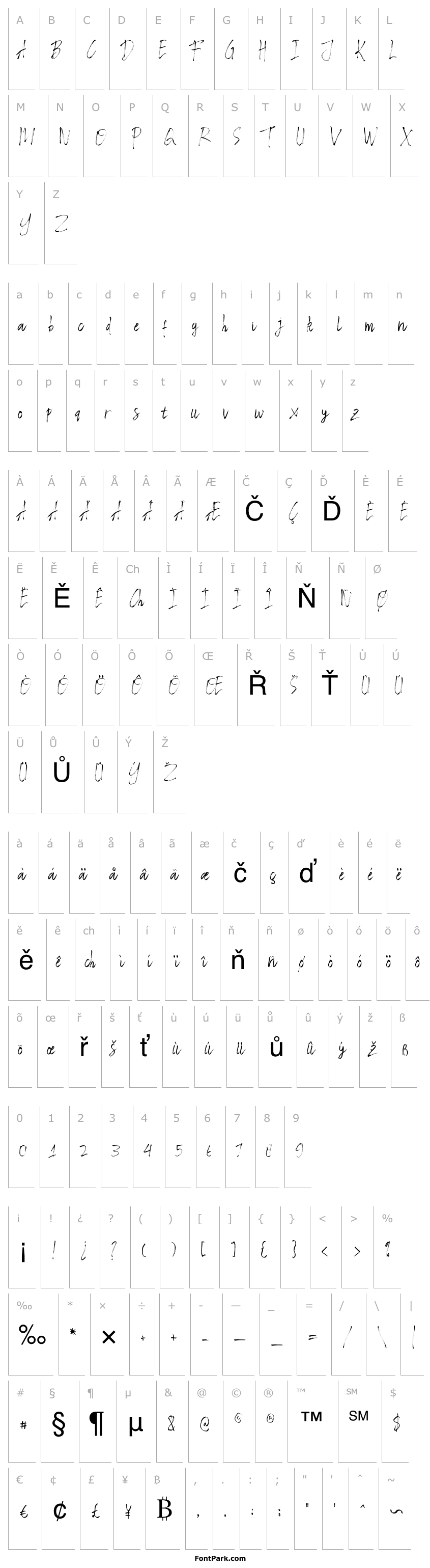 Overview RasterBrush