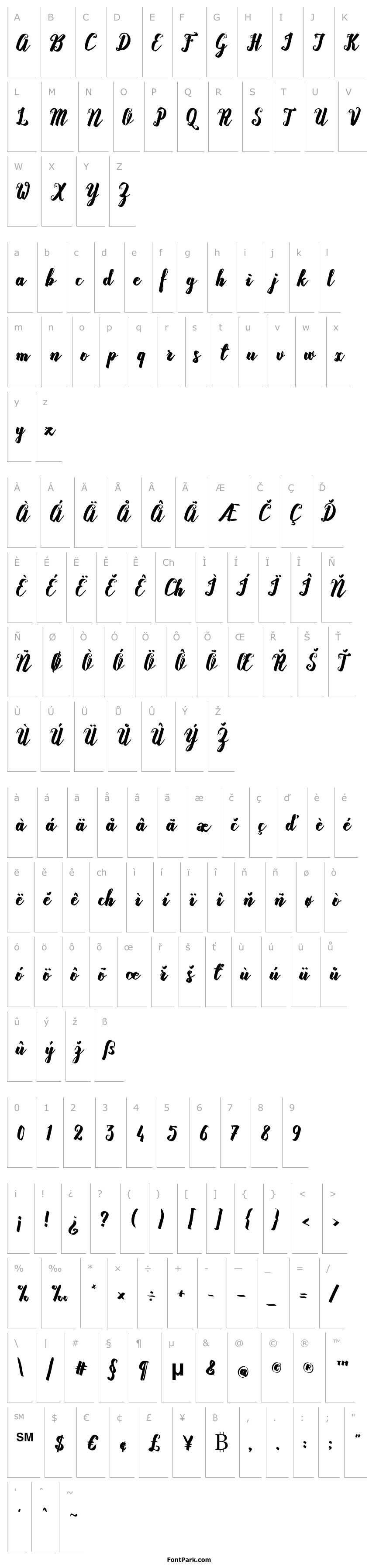 Overview RasterizeScript-Bold