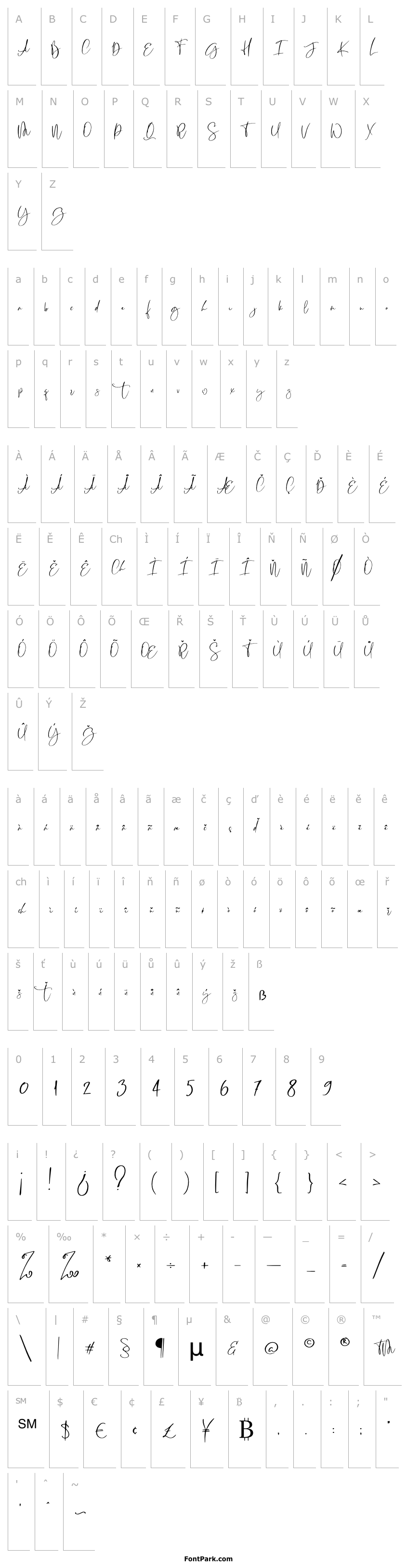 Overview RastyKing Regular