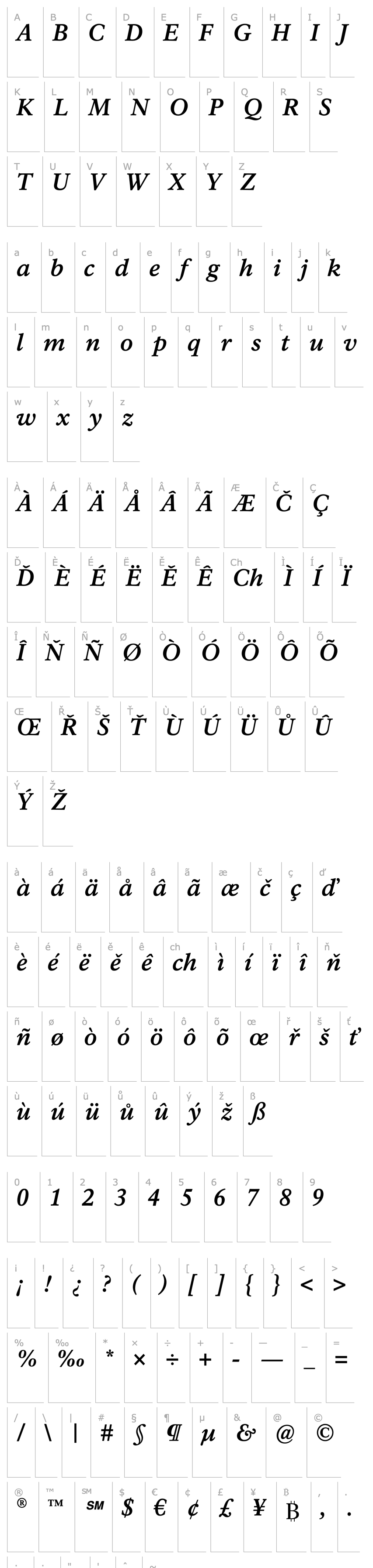 Overview Rawlinson Bold Italic