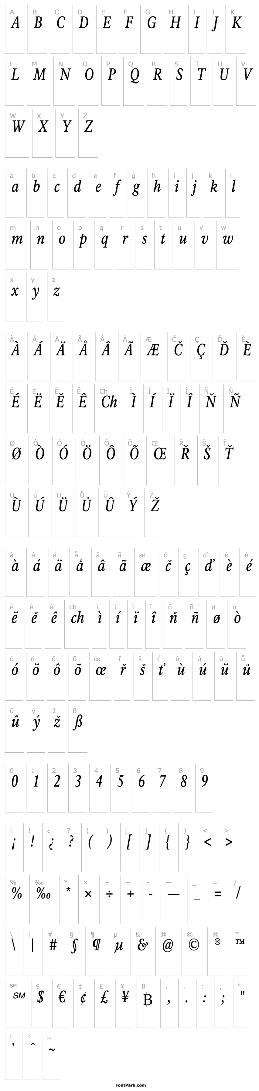 Overview Rawlinson Condensed Regular Italic