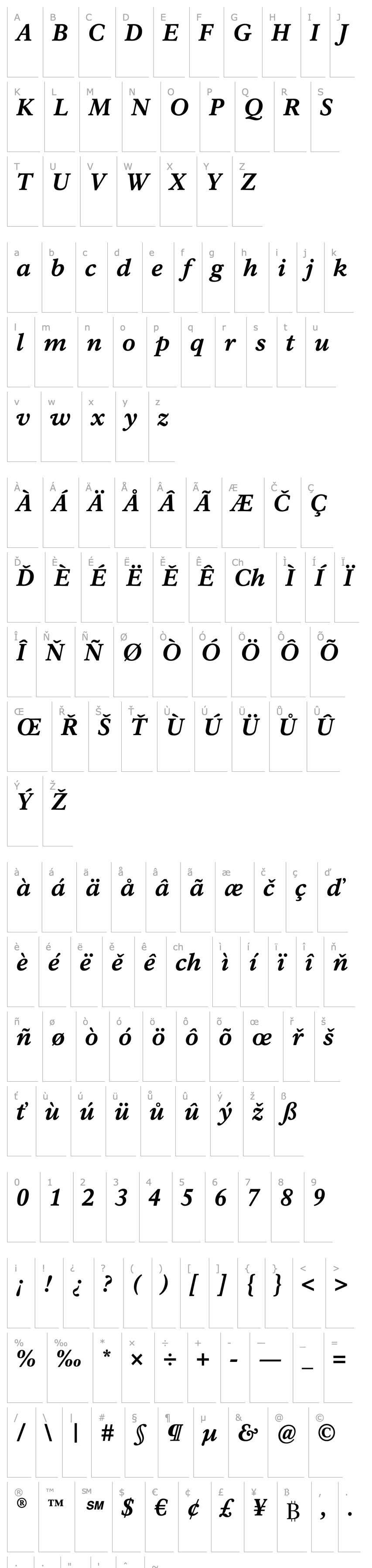 Overview Rawlinson Heavy Italic