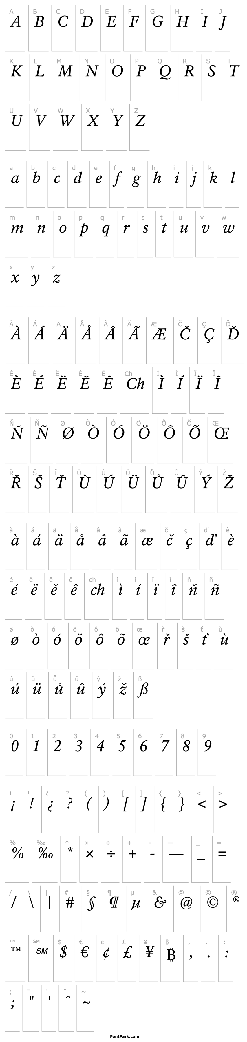 Overview Rawlinson Regular Italic