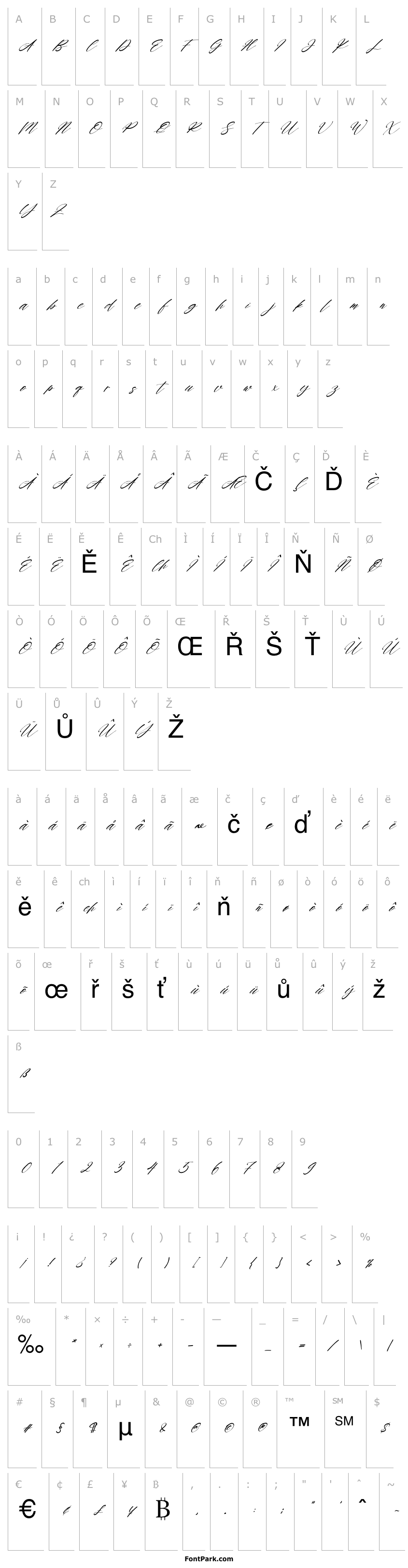 Přehled Rayanne Italic
